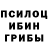 Псилоцибиновые грибы мухоморы Tigran Hamalian