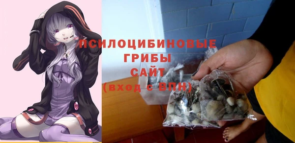 ешки Мегион