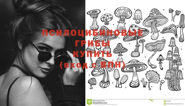 ешки Мегион