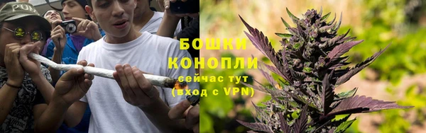 apvp Медногорск