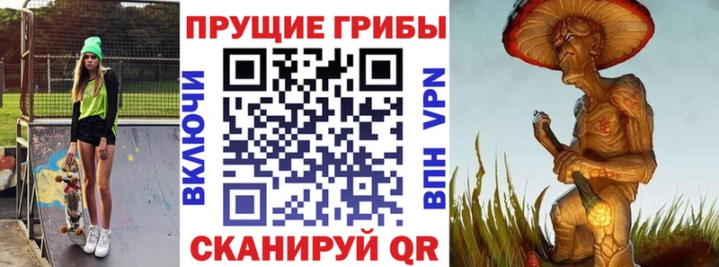 Галлюциногенные грибы Magic Shrooms  Шенкурск 